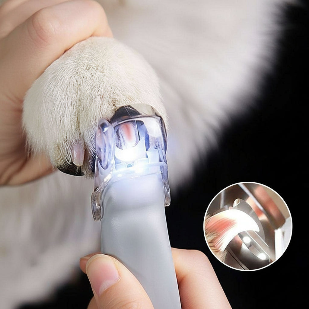 Professional Dog LED Nail Clipper - Best Buddy Store
