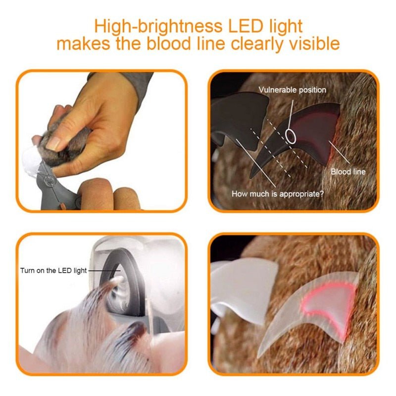 Professional Dog LED Nail Clipper - Best Buddy Store