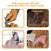 Professional Dog LED Nail Clipper - Best Buddy Store