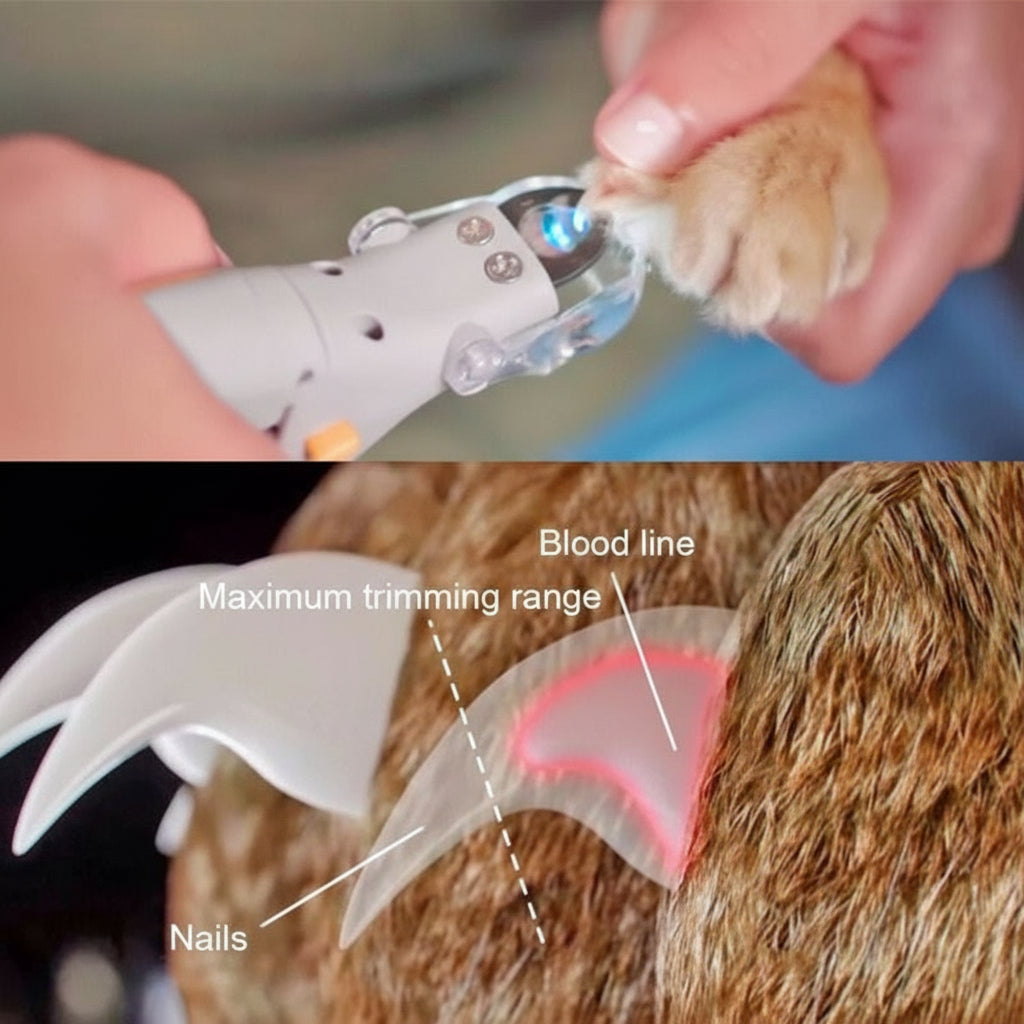 Professional Dog LED Nail Clipper - Best Buddy Store