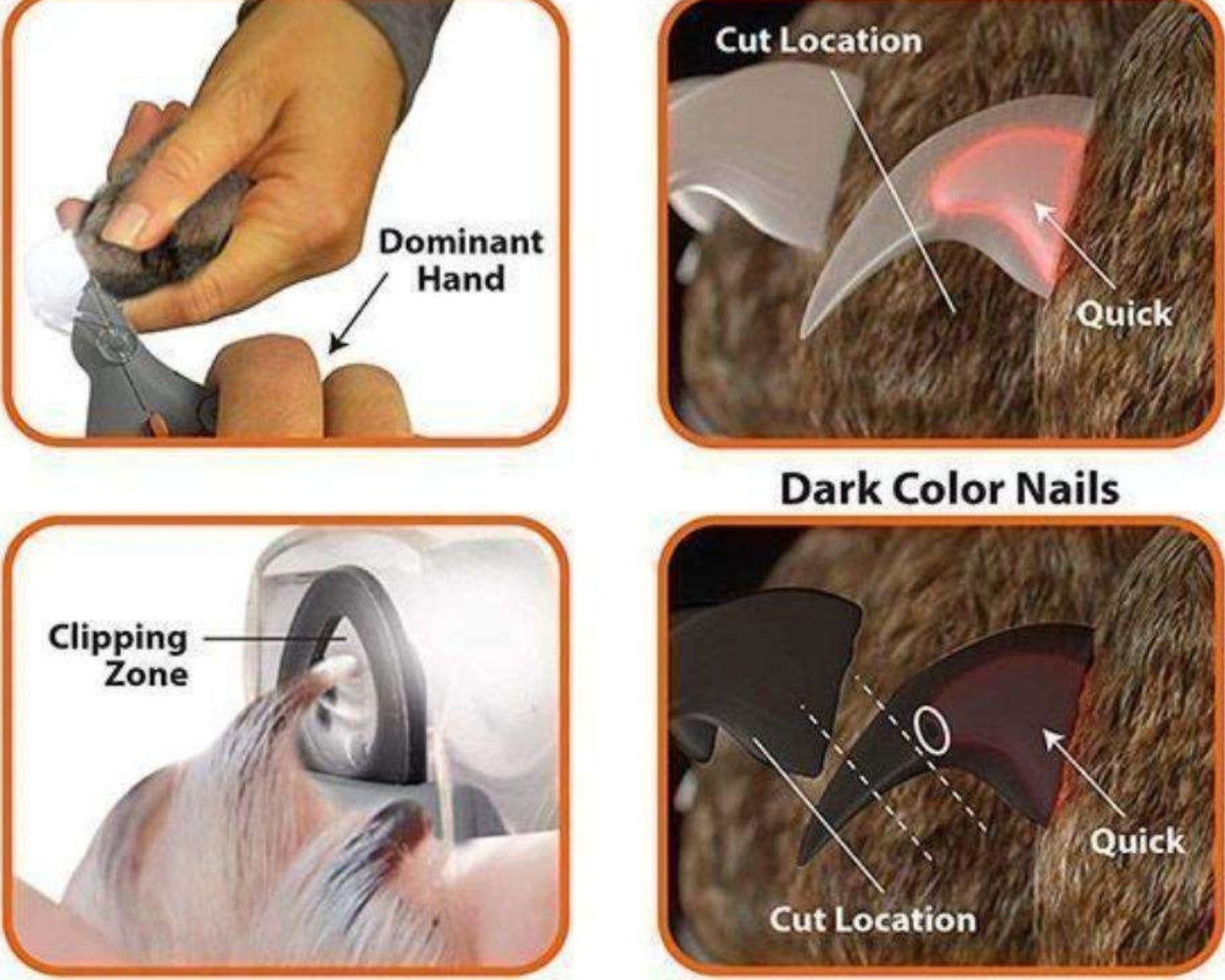 Professional Pet LED Nail Clipper - Best Buddy Store