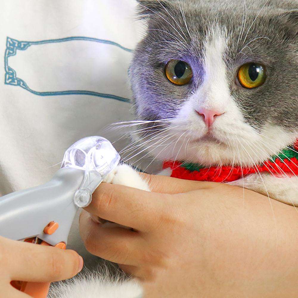 Professional Pet LED Nail Clipper - Best Buddy Store