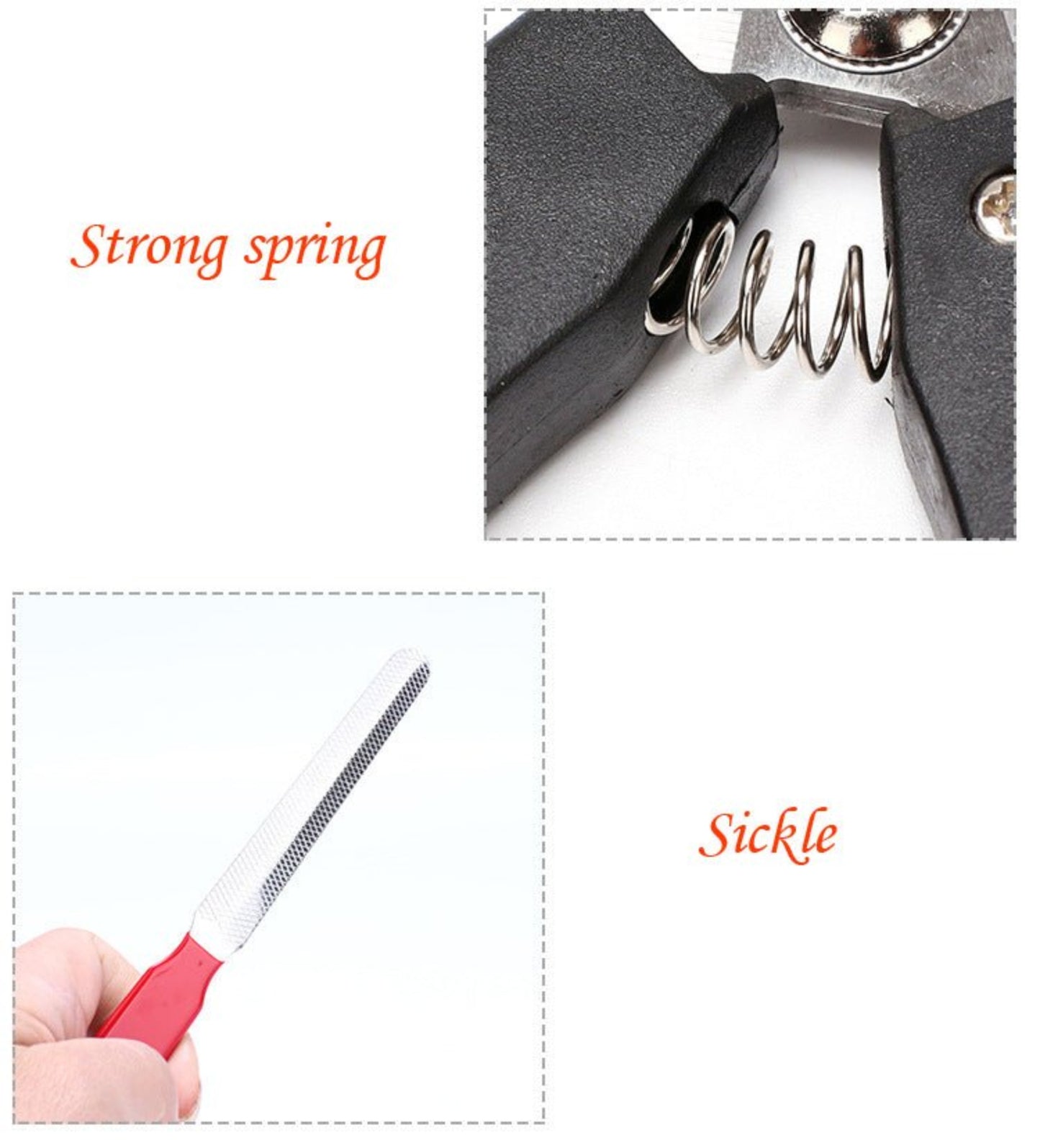 Professional Pet Nail Clipper - Best Buddy Store