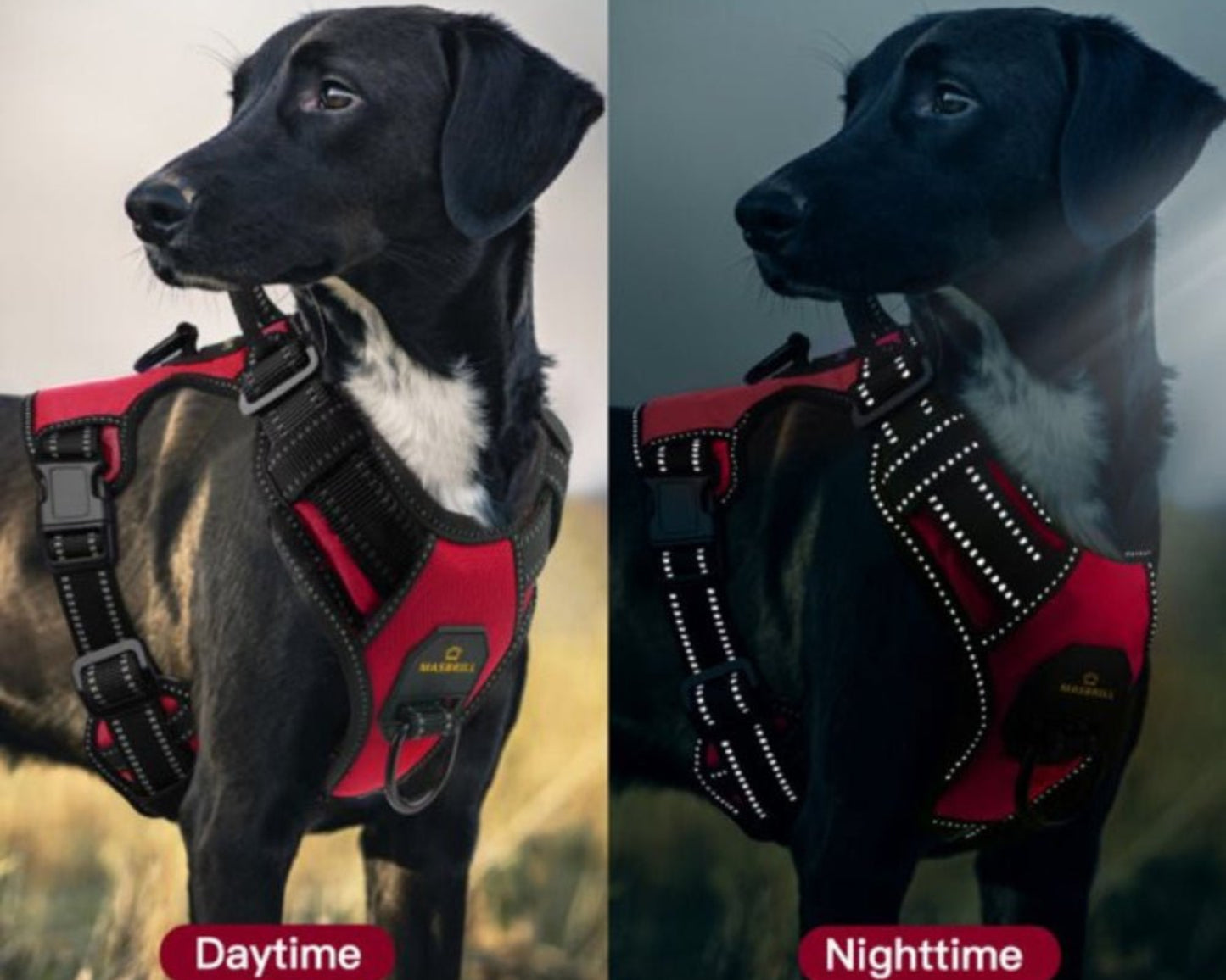 Reflective Adjustable No Pull Vest Breathable Padded Chest Dog Harness - Best Buddy Store