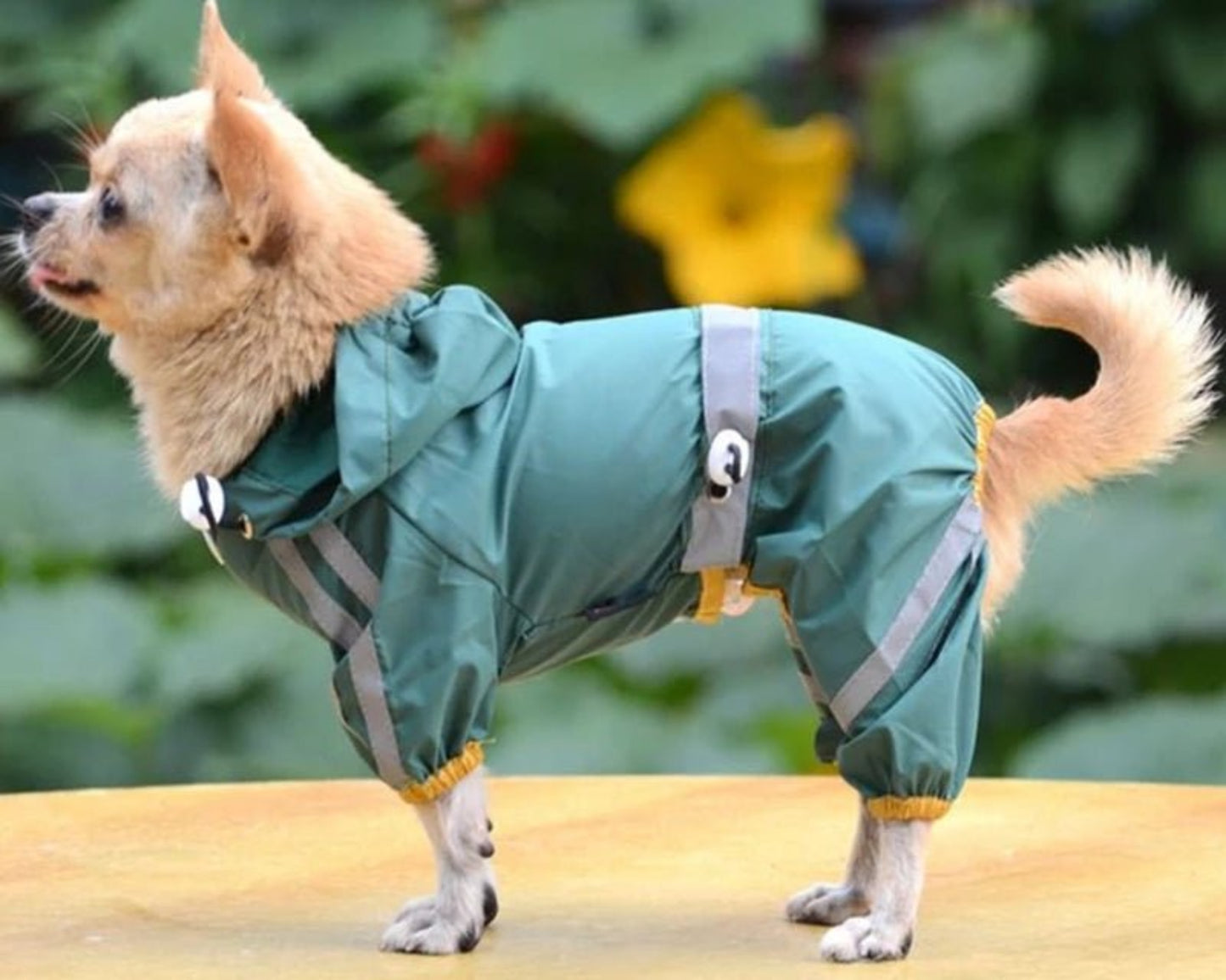Reflective Waterproof Dog Raincoat - Best Buddy Store