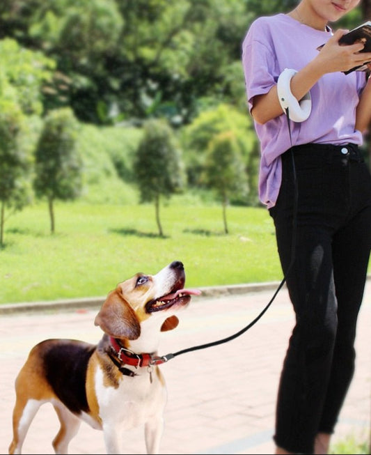 Retractable Dog Leash Led lighting Flexible Traction Rope Belt 10ft - Best Buddy Store