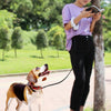 Retractable Dog Leash Led lighting Flexible Traction Rope Belt 10ft - Best Buddy Store