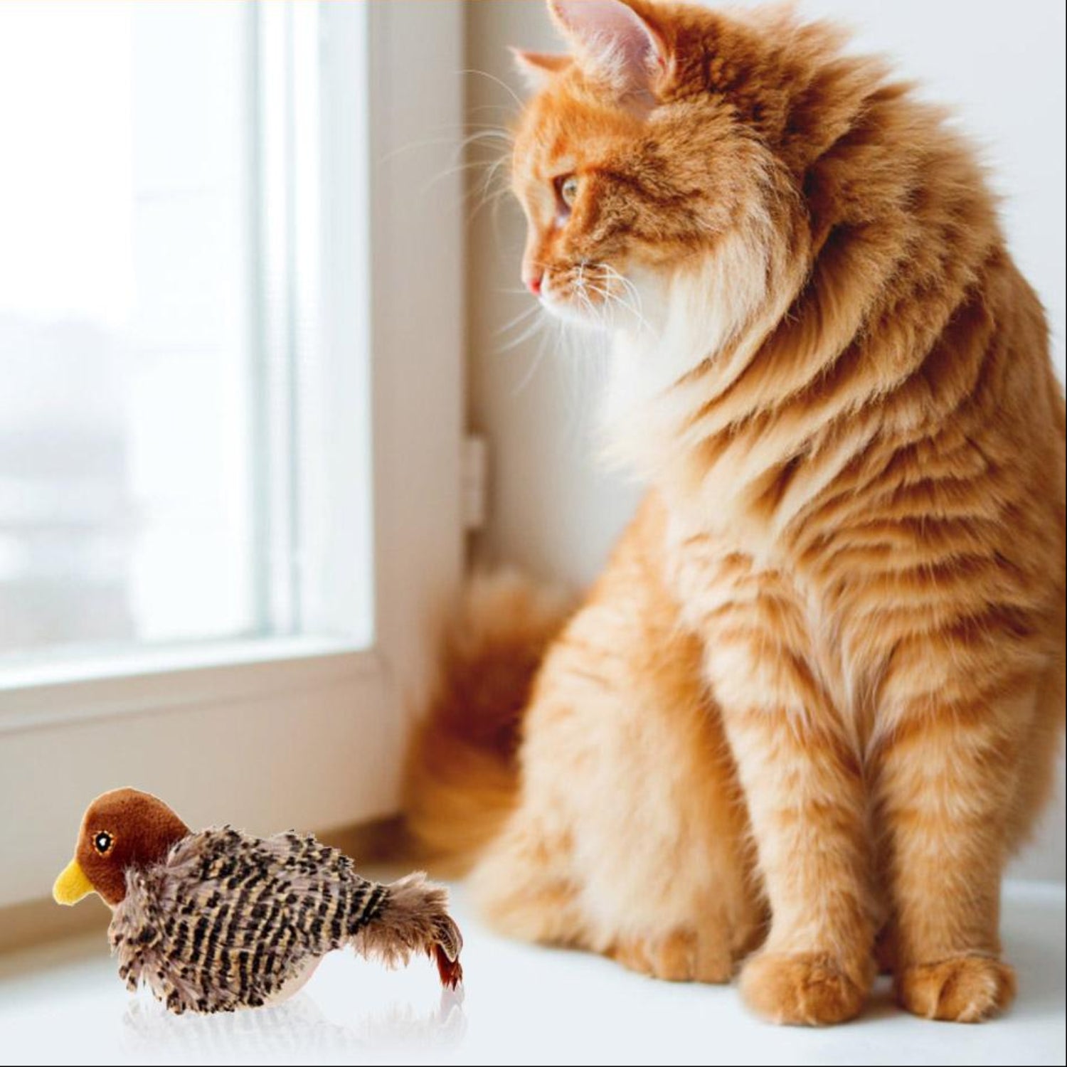 Singing Sparrow Shaped Bird Cat Toy - Best Buddy Store