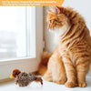 Singing Sparrow Shaped Bird Cat Toy - Best Buddy Store
