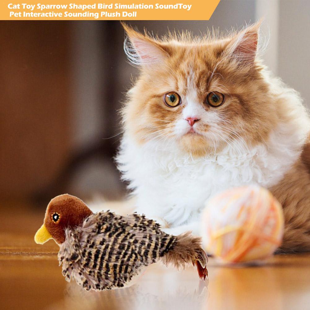 Singing Sparrow Shaped Bird Cat Toy - Best Buddy Store