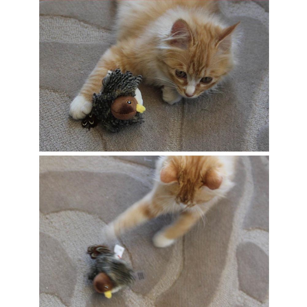 Singing Sparrow Shaped Bird Cat Toy - Best Buddy Store