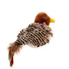 Singing Sparrow Shaped Bird Cat Toy - Best Buddy Store