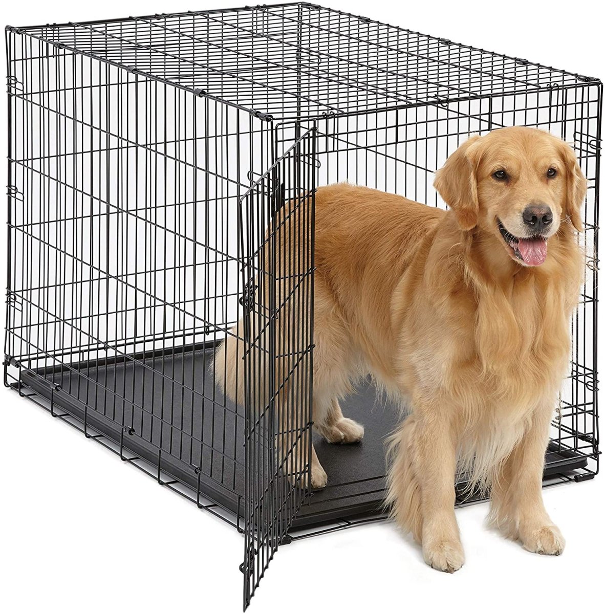 Single & Double Door Folding Metal Dog Crates Fully Equipped - Best Buddy Store