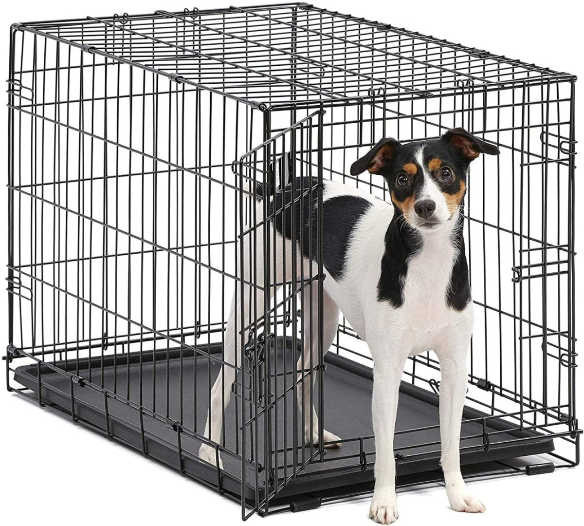 Single & Double Door Folding Metal Dog Crates Fully Equipped - Best Buddy Store