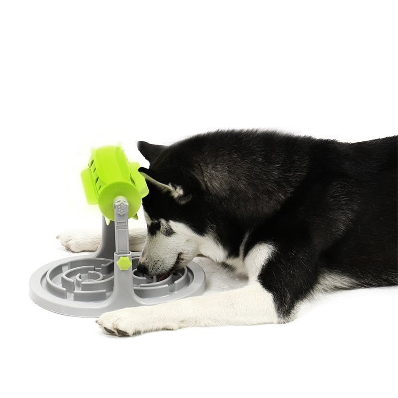 Slow Feeder Dog Bowl Interactive Slow Eating Training - Best Buddy Store