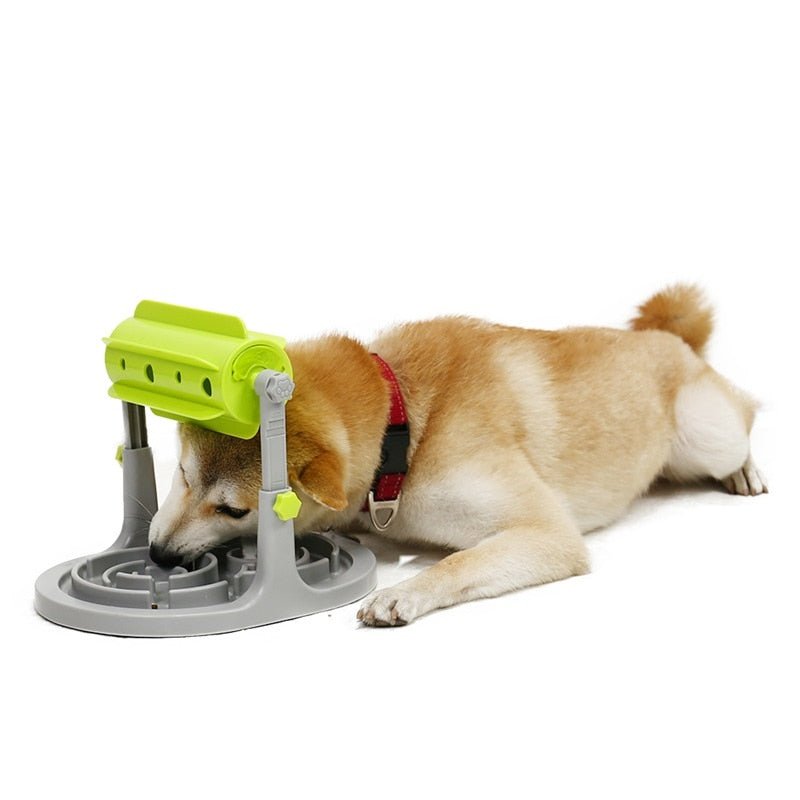 Slow Feeder Dog Bowl Interactive Slow Eating Training - Best Buddy Store