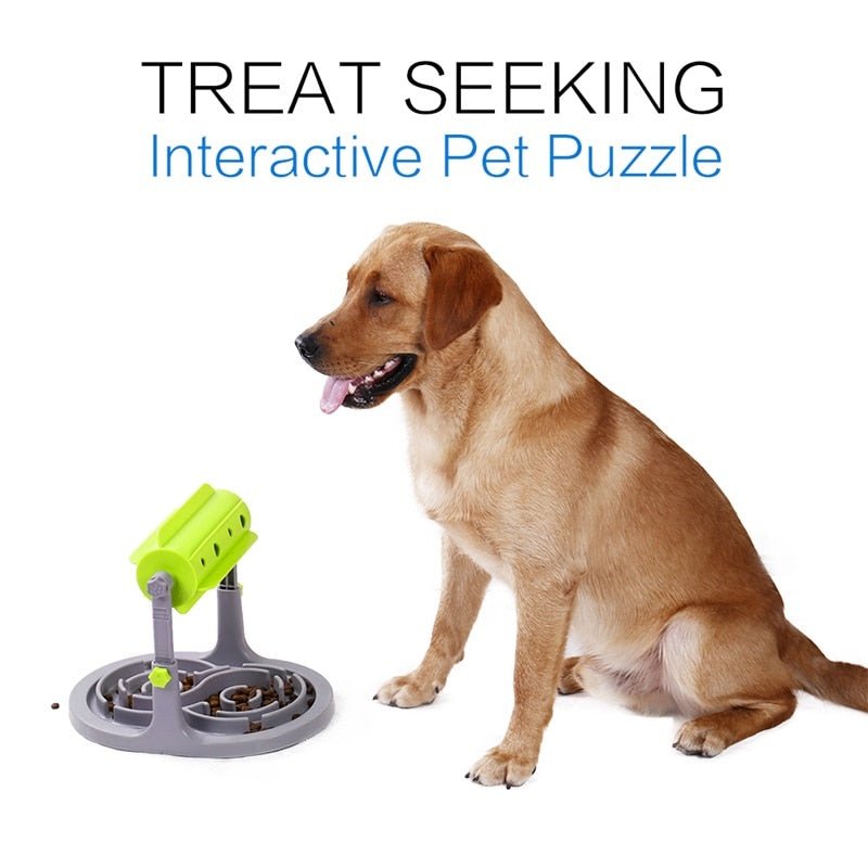 Slow Feeder Dog Bowl Interactive Slow Eating Training - Best Buddy Store