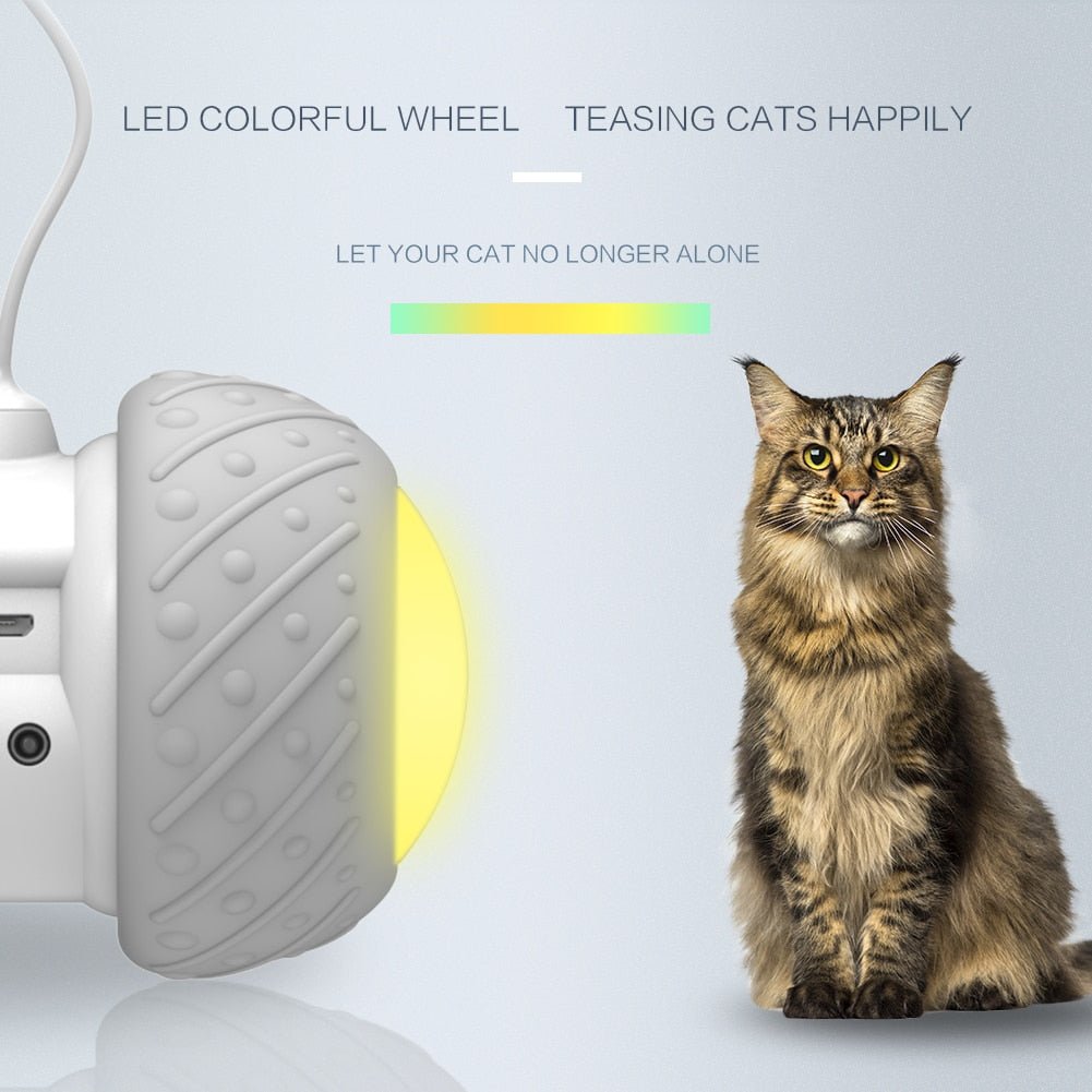 Smart Interactive Rotating Funny Game Cat Toy LED Light - Feather Ball - Best Buddy Store