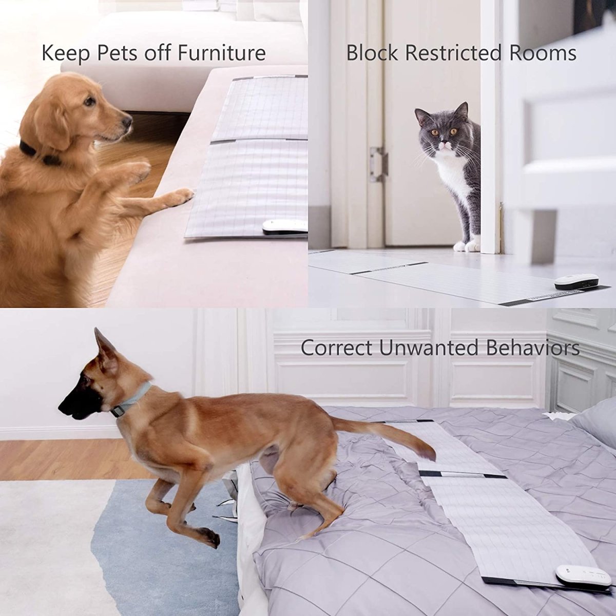 Smart Safety LED Pet Training Mat with Gentle Shock - Best Buddy Store