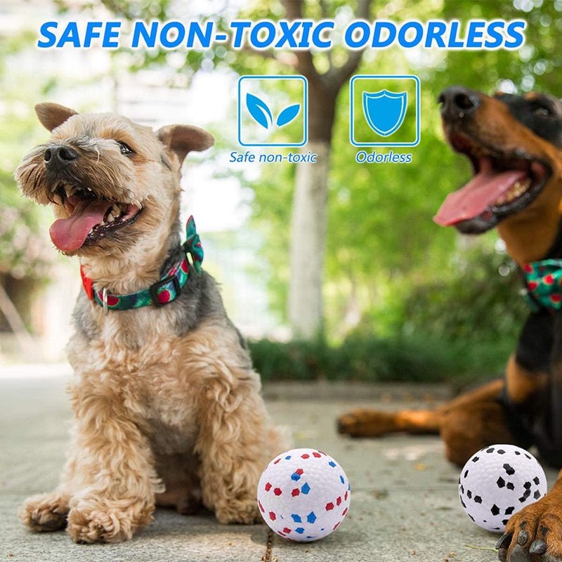 Solid Interactive Bite Resistant Dog Ball - Best Buddy Store