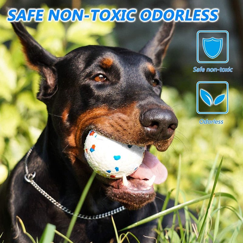 Solid Interactive Bite Resistant Dog Ball - Best Buddy Store