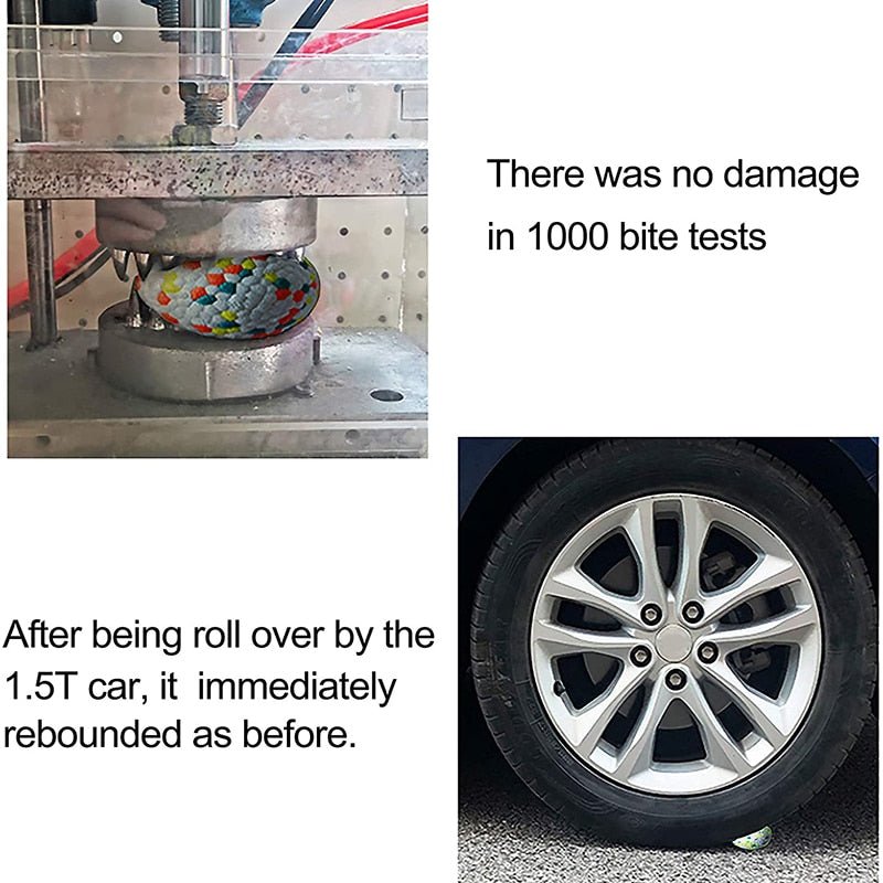 Solid Interactive Bite Resistant Dog Ball - Best Buddy Store