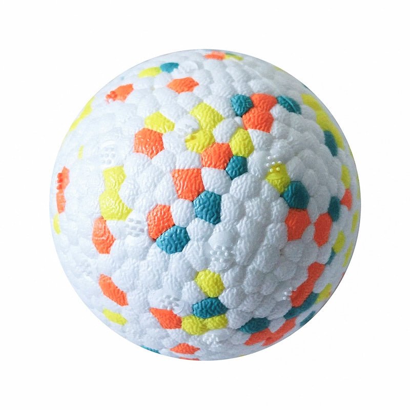 Solid Interactive Bite Resistant Dog Ball - Best Buddy Store
