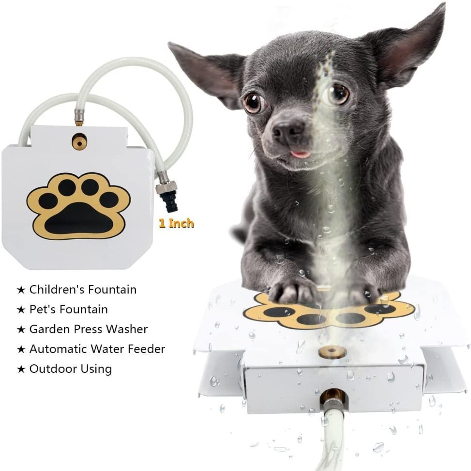 Step - On Outdoor Dog Water Fountain - Best Buddy Store