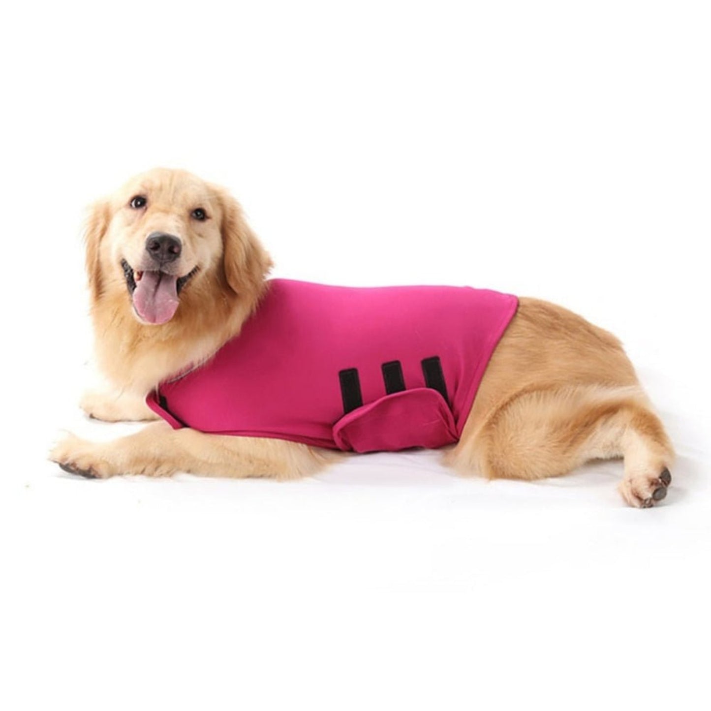 Stress Relief Anti Anxiety Calming Dog Vest - Best Buddy Store