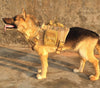 Tactical Breathable Adjustable Dog Vest harness - Best Buddy Store