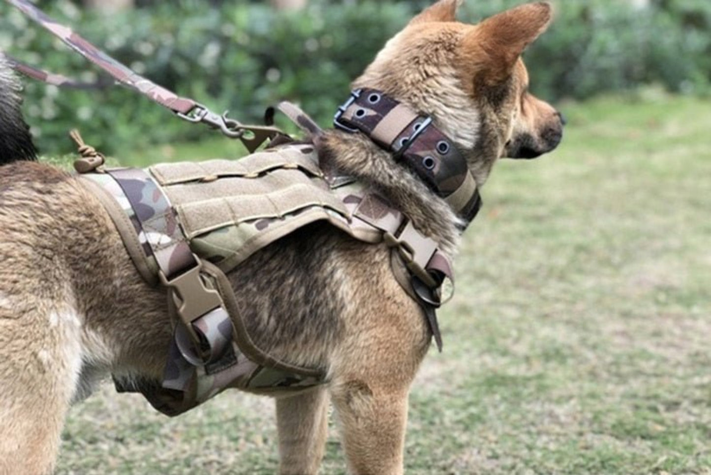 Tactical Breathable Adjustable Dog Vest harness - Best Buddy Store