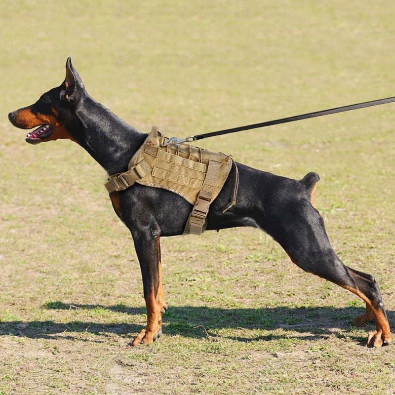Tactical Breathable Adjustable Dog Vest harness - Best Buddy Store