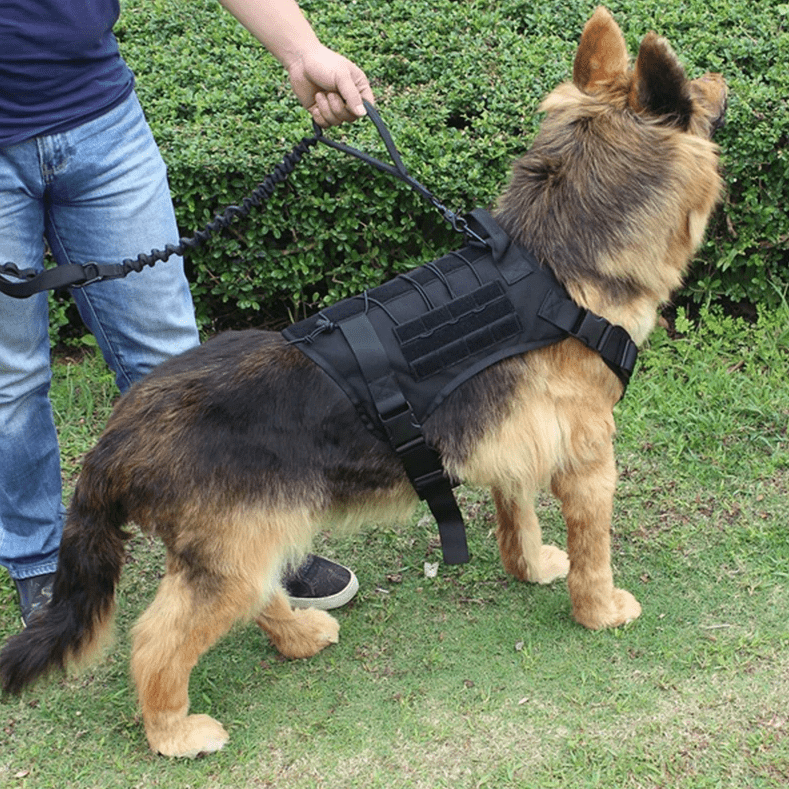 Tactical Breathable Adjustable Dog Vest harness - Best Buddy Store