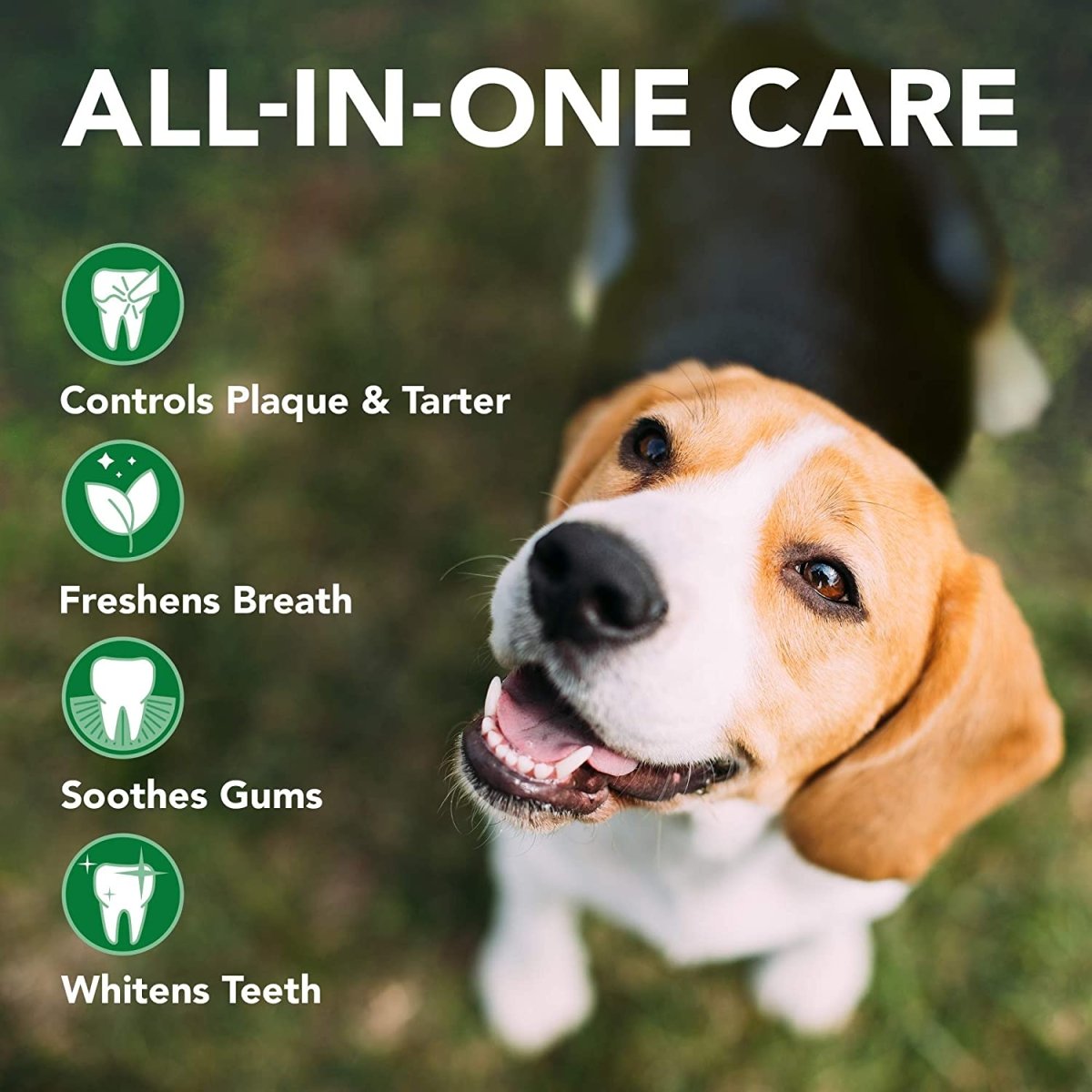 Teeth Cleaning and Fresh Breath Dental Care Gel - Best Buddy Store