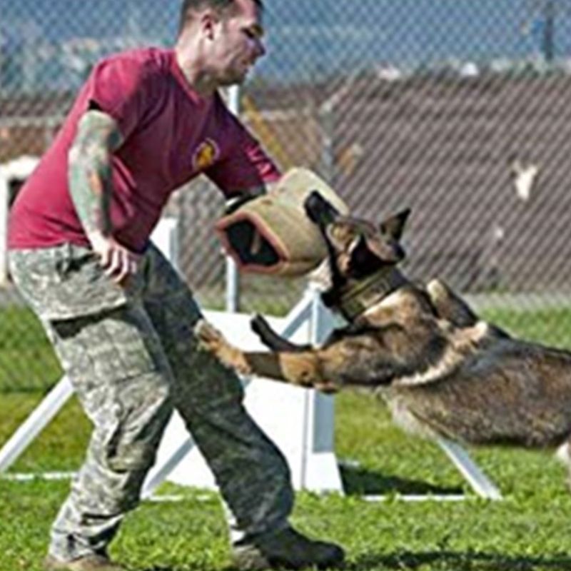 Thicken Professional Dogs Bit Training Arm Sleeve for Arm Protection Biting for Puppy Biting Playing - Best Buddy Store