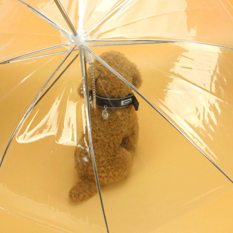 Transparent Dog Umbrella with Dog Leads - Best Buddy Store