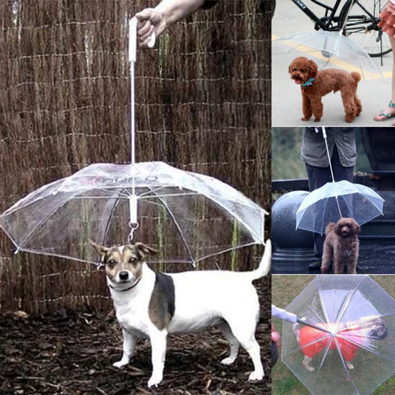 Transparent Dog Umbrella with Dog Leads - Best Buddy Store