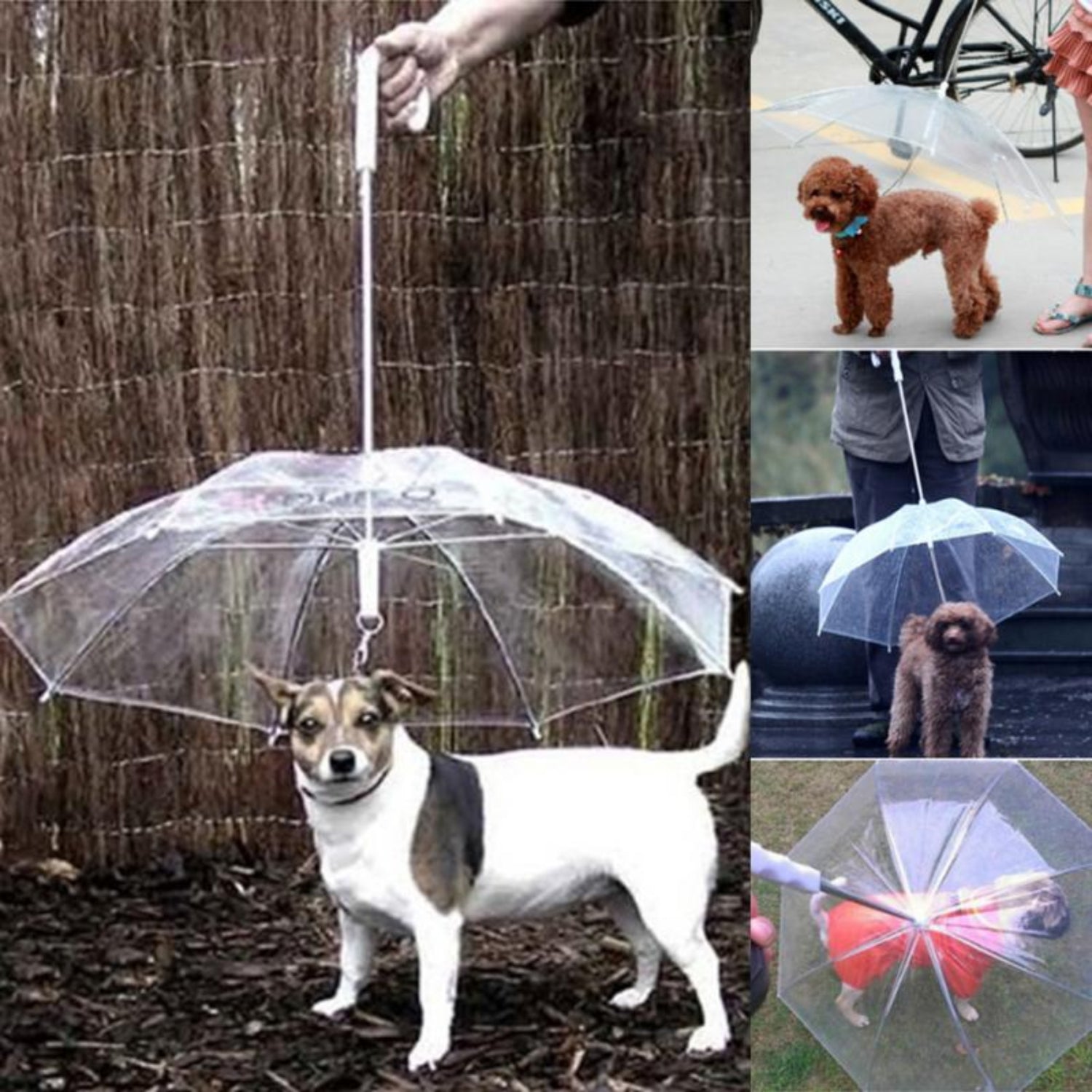 Transparent Dog Umbrella with Dog Leads - Best Buddy Store