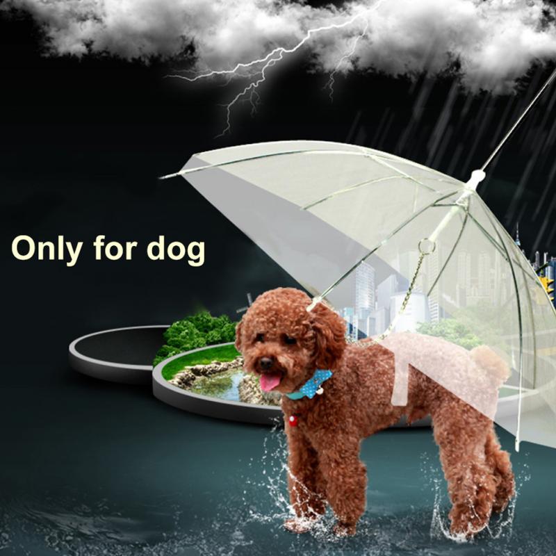 Transparent Dog Umbrella with Dog Leads - Best Buddy Store