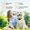 Vibrating Anti Bark Dog Collar With Remote Control - Best Buddy Store