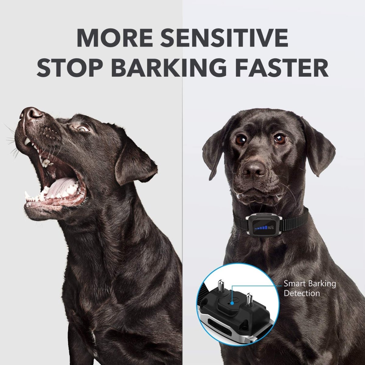Vibrating Anti Bark Dog Collar With Remote Control - Best Buddy Store