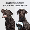 Vibrating Anti Bark Dog Collar With Remote Control - Best Buddy Store