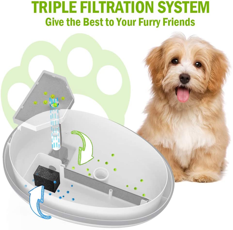 Pet Water Fountain with Self Cleaning Low Noise Design -  84Oz/2.5L - BestBuddyStore