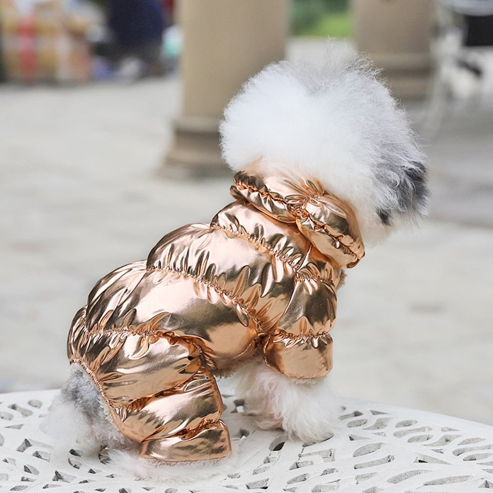 Warm Dog Winter Coat Jacket - Best Buddy Store