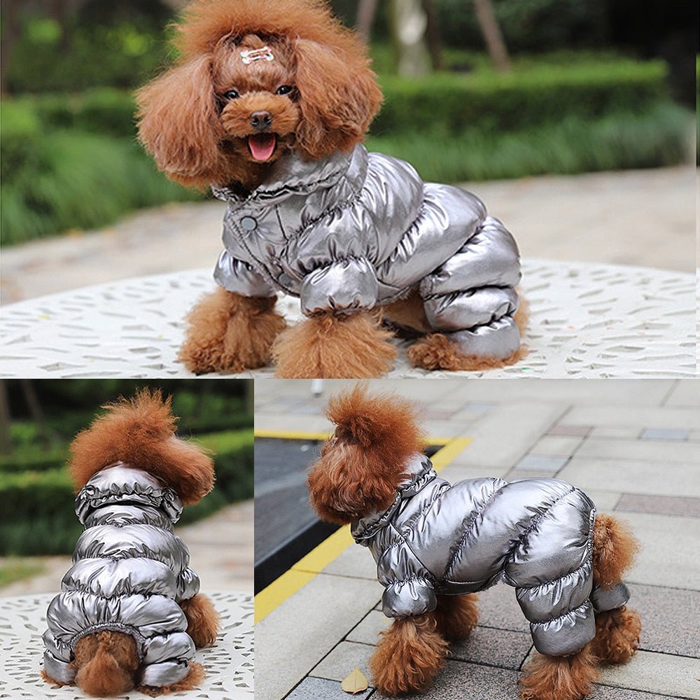 Warm Dog Winter Coat Jacket - Best Buddy Store
