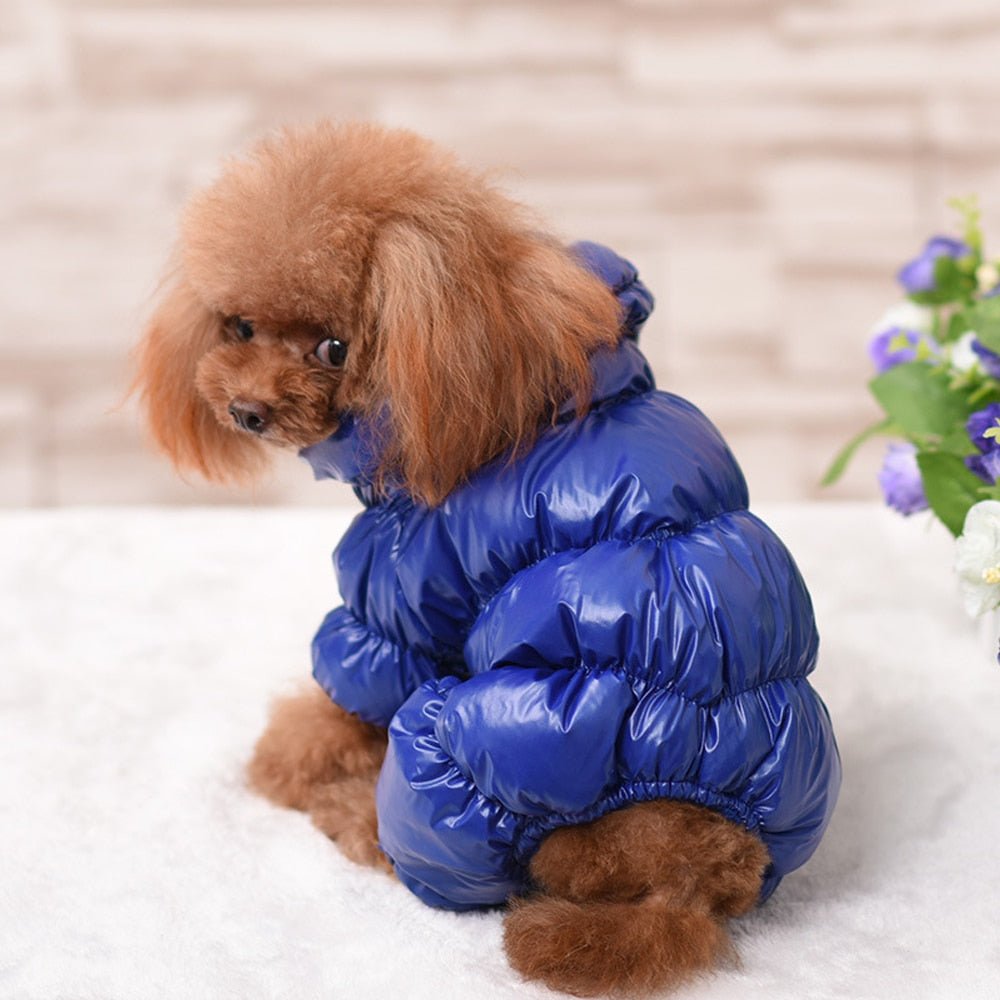 Warm Dog Winter Coat Jacket - Best Buddy Store