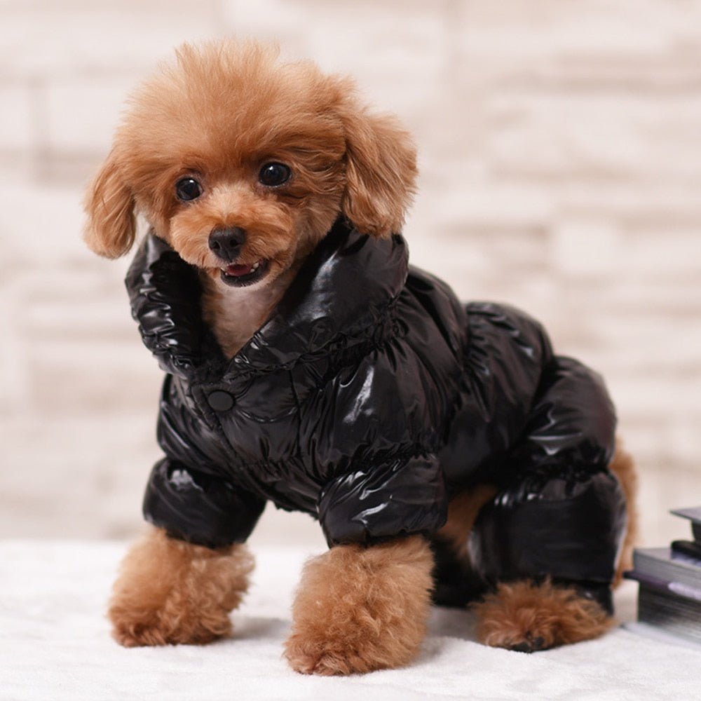 Warm Dog Winter Coat Jacket - Best Buddy Store