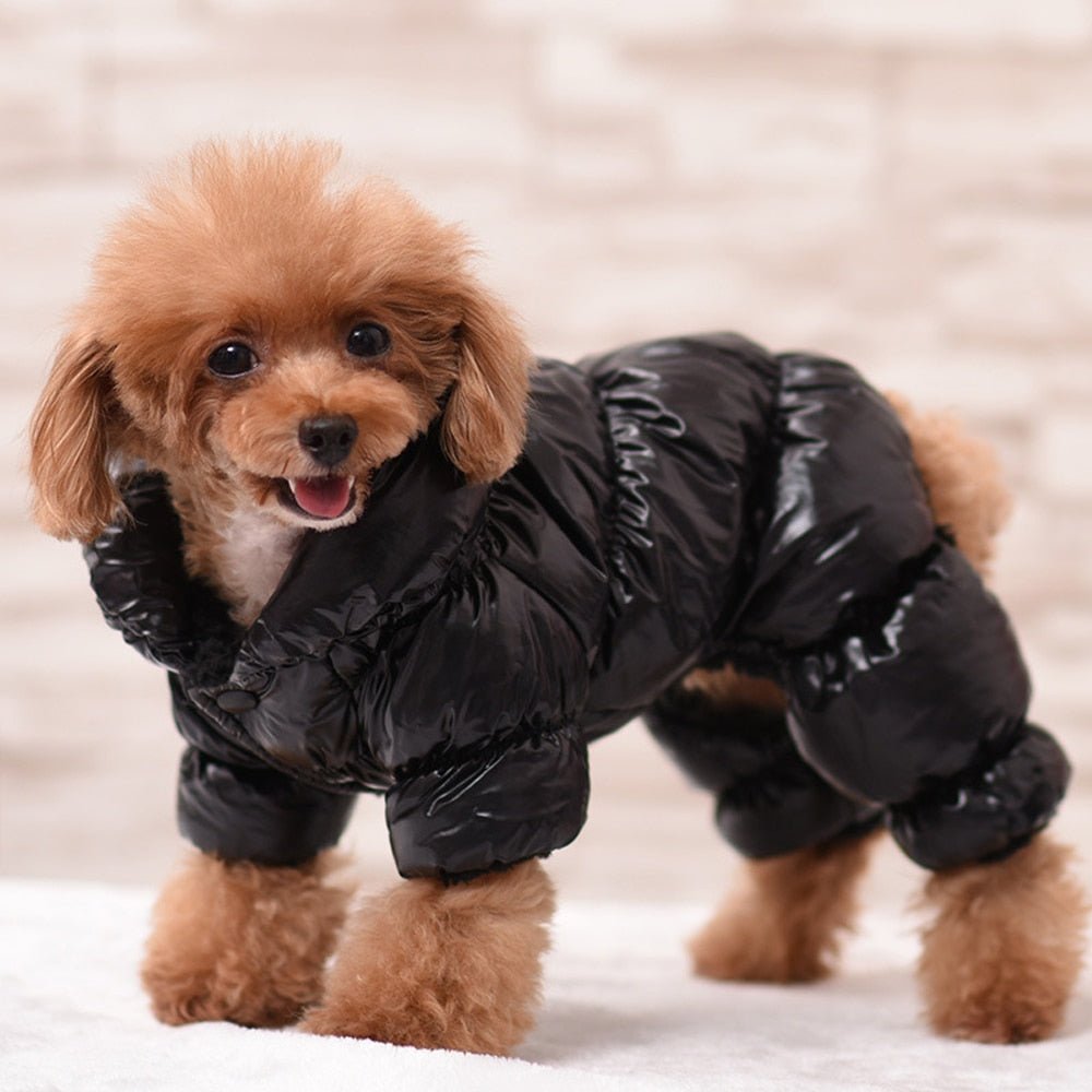 Warm Dog Winter Coat Jacket - Best Buddy Store