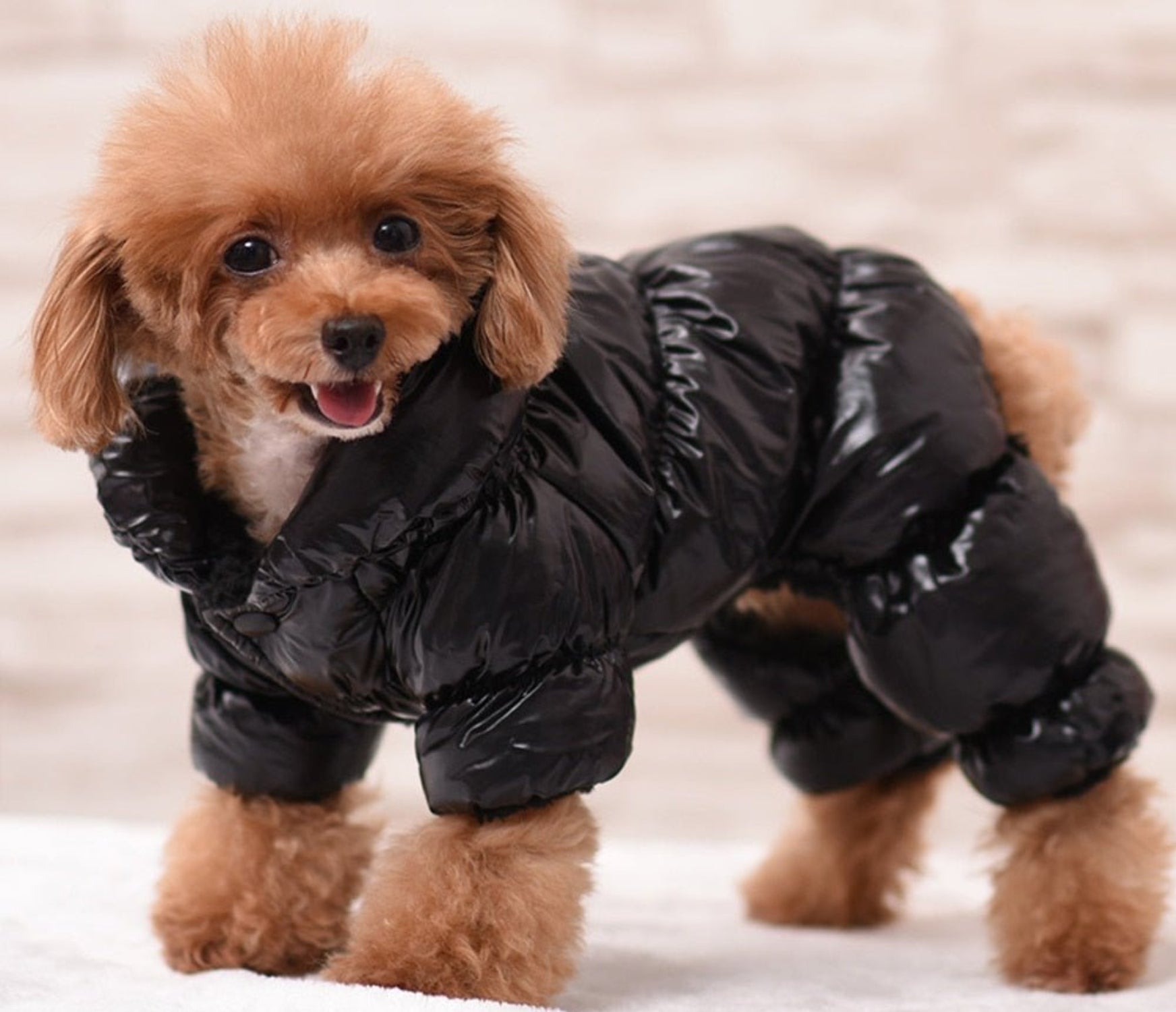 Warm Dog Winter Coat Jacket - Best Buddy Store