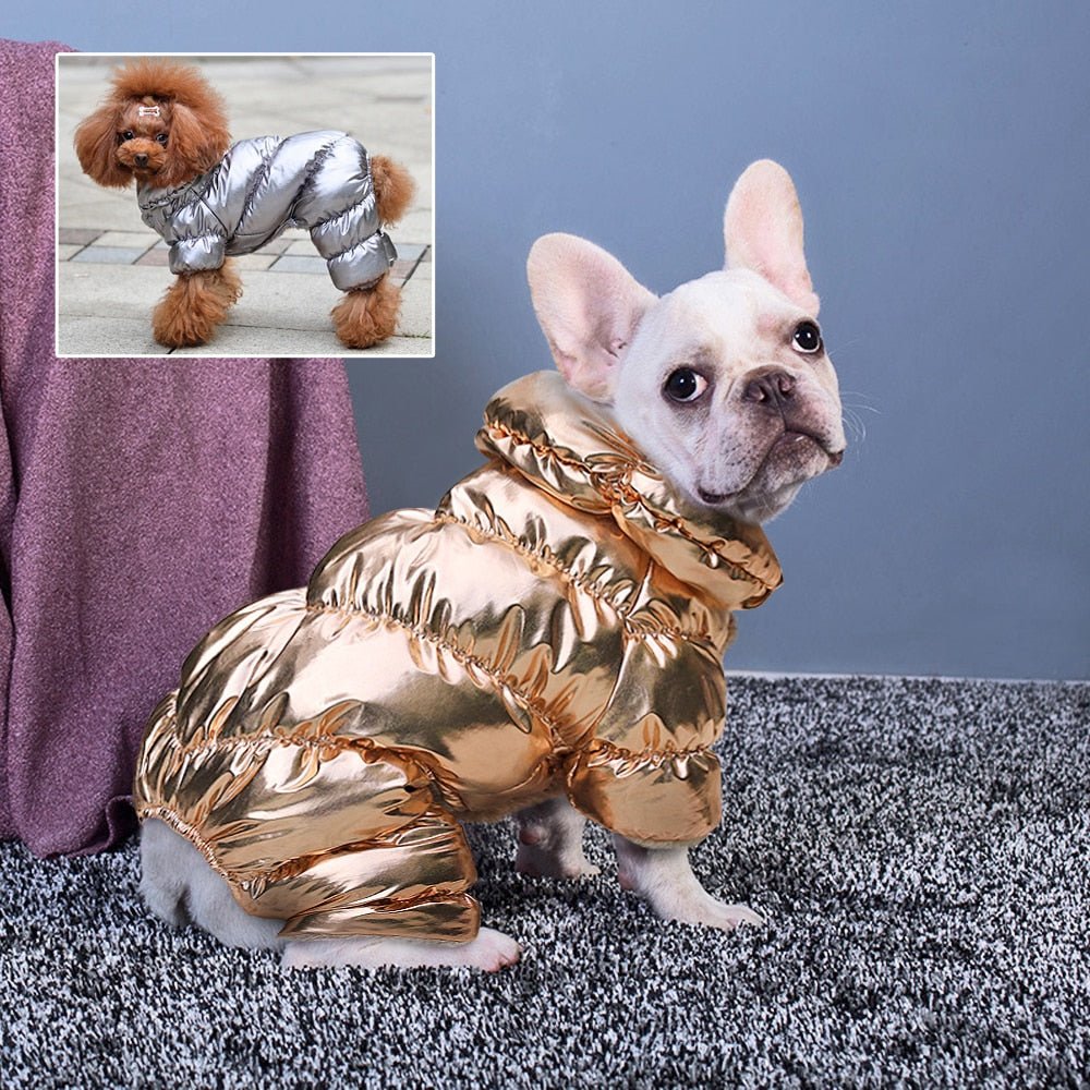 Warm Dog Winter Coat Jacket - Best Buddy Store